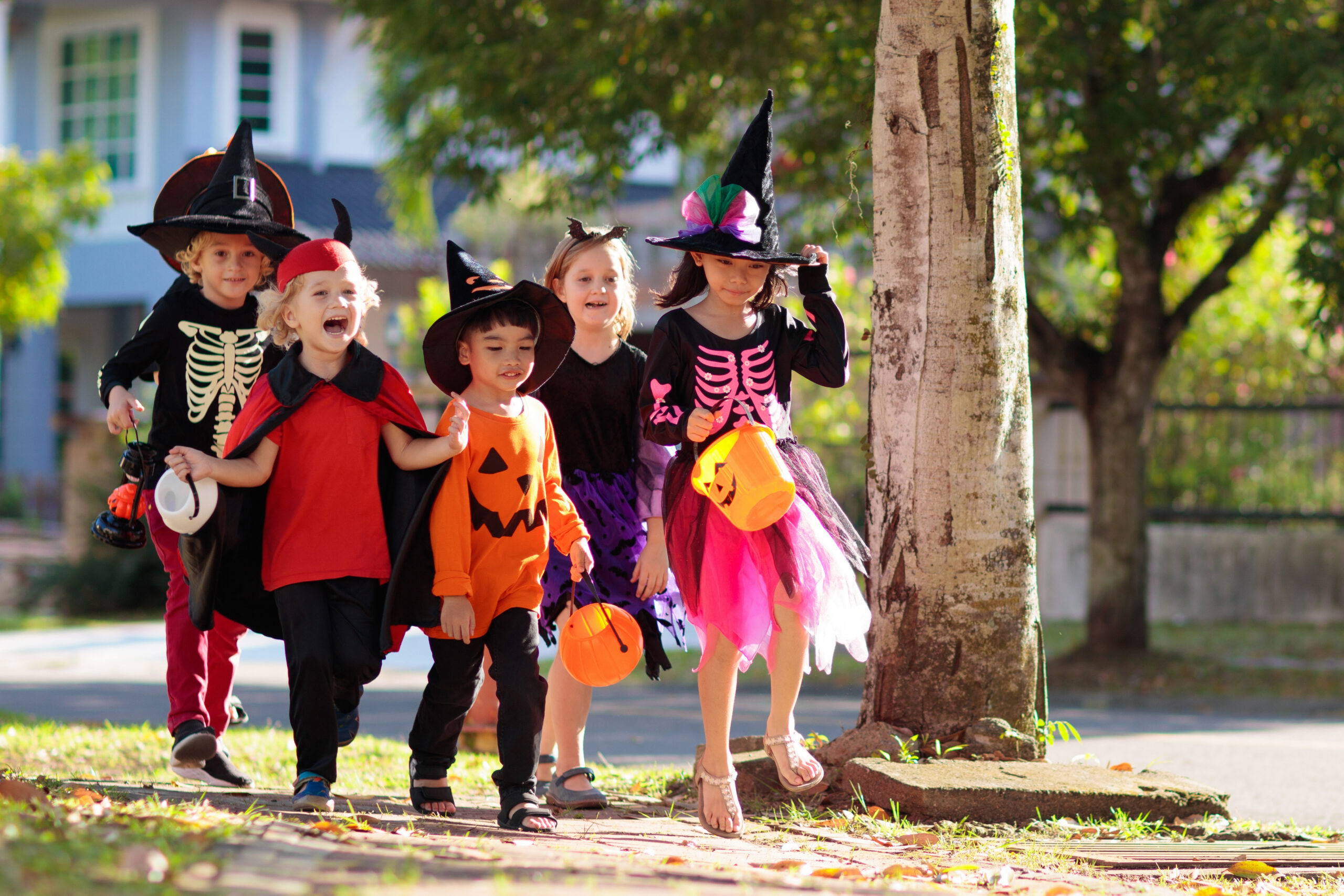 Halloween Spectacular